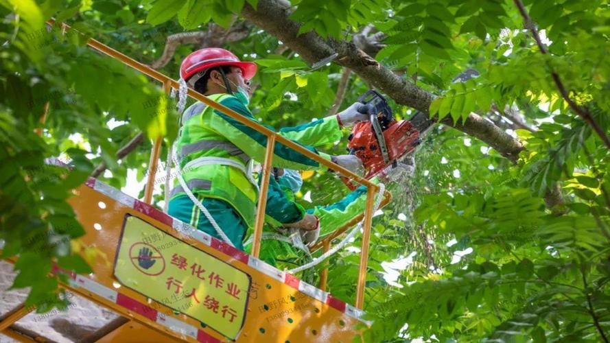 金年會：智慧城市所需專業技能