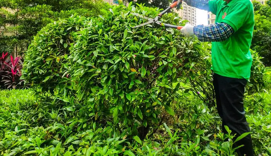 金年會:工業互聯網標識解析平臺 開源 金年會:工業互聯網標識解析平臺 開源